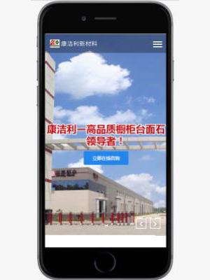 手机网站案例